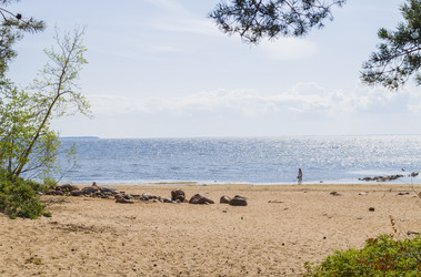 Similar image 10487689