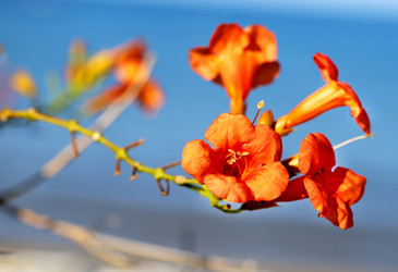 Similar image 10487727