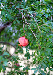 Similar image 10487730