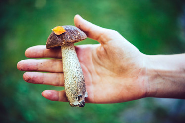 Similar image 10487747