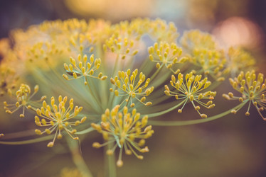 Similar image 10487748