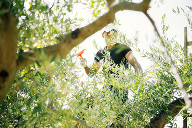 Similar image 10487804