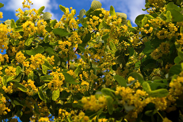 Similar image 10487826