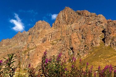 Similar image 10487828