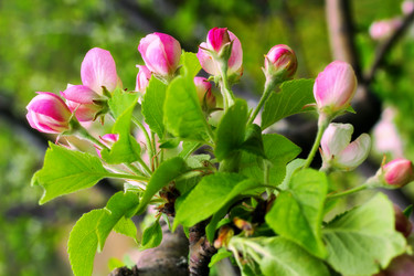 Similar image 10487834