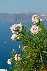 Similar image 10488669