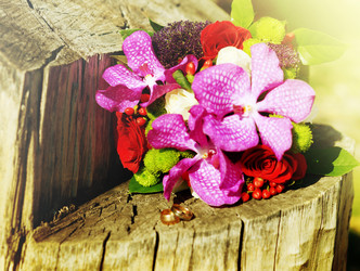 Similar image 10489870