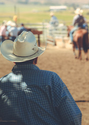 Similar image 10490073