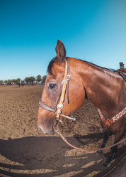 Similar image 10490074