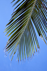 Similar image 10491623