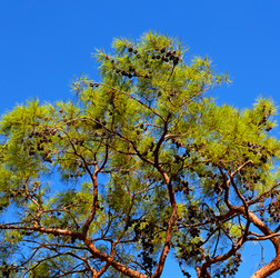 Similar image 10491625