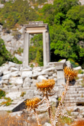 Similar image 10491627