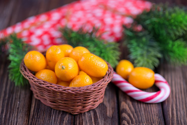 Similar image 10491779