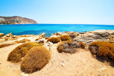 Similar image 10491785