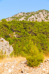 Similar image 10491796