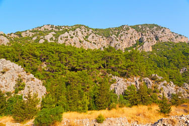 Similar image 10491798