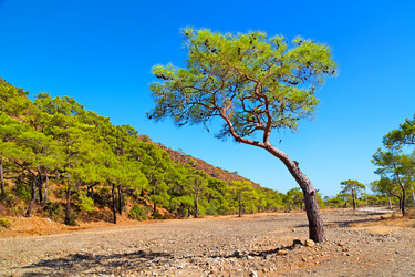 Similar image 10491799