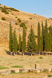 Similar image 10491890