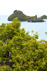 Similar image 10491911