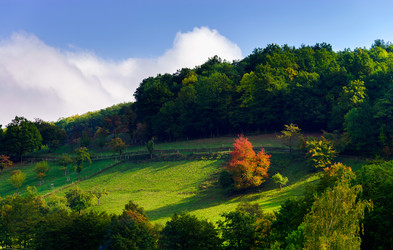 Similar image 10491946