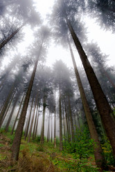 Similar image 10491952