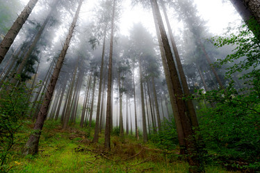 Similar image 10491953