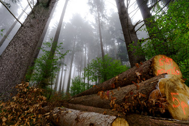 Similar image 10491956