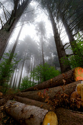 Similar image 10491957