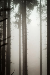 Similar image 10491958