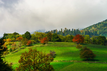 Similar image 10491962