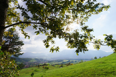 Similar image 10491978