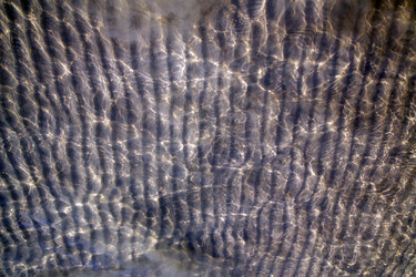 Similar image 10491996