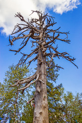 Similar image 10492353