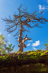 Similar image 10492354