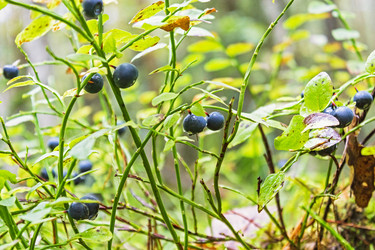 Similar image 10492602