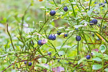 Similar image 10492603