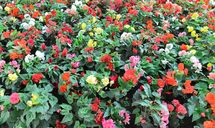 Similar image 10492621