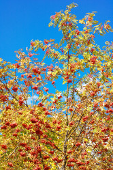 Similar image 10493042