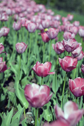 Similar image 10493057