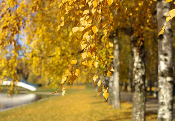 Similar image 10493067