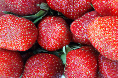 Similar image 10493070