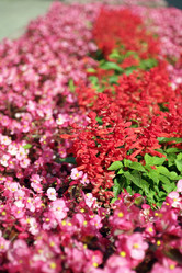 Similar image 10493072