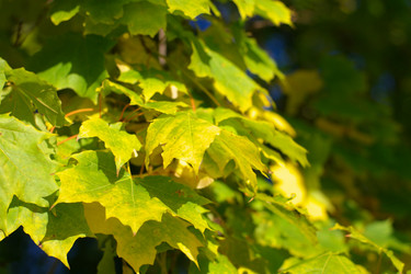 Similar image 10493239