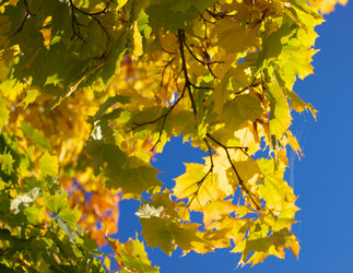 Similar image 10493240