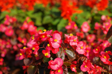 Similar image 10493241