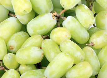 Similar image 10493242