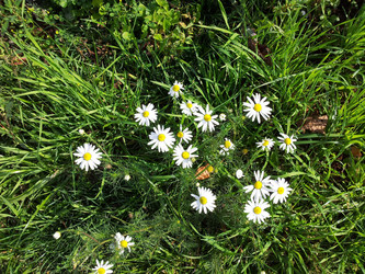 Similar image 10493248