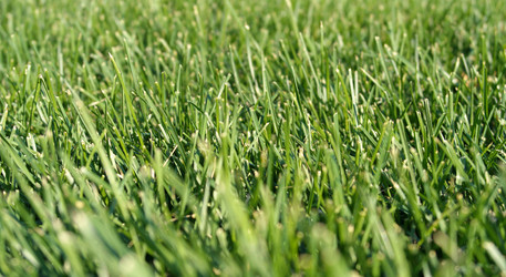 Similar image 10493287