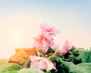 Similar image 10493317