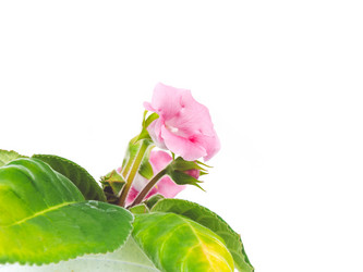 Similar image 10493327